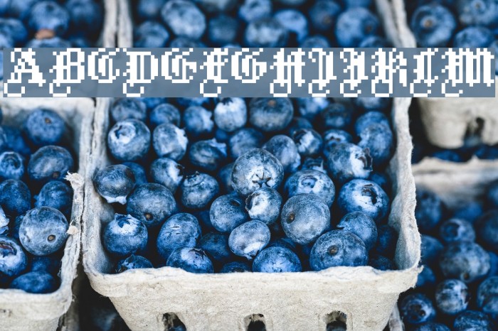 HeinzHeinrich Font examples