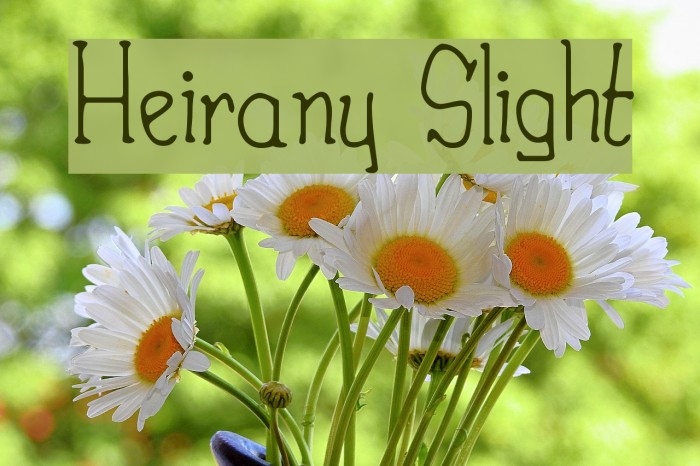 Heirany Slight フォント examples