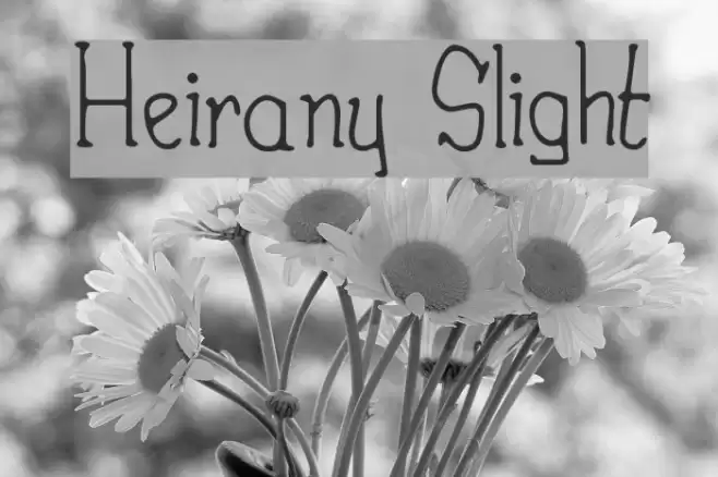 Heirany Slight Fonte examples