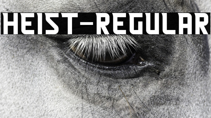 Heist-Regular Example 1