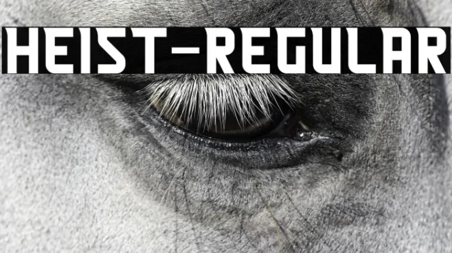 Heist-Regular Example 1