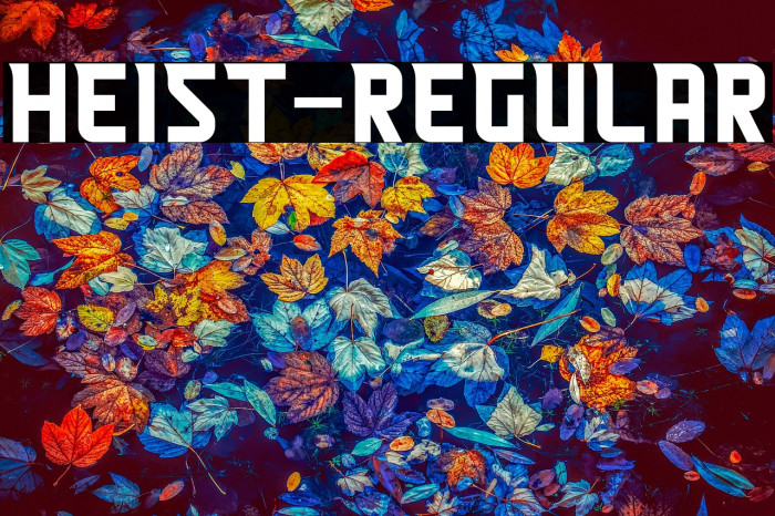 Heist-Regular Example 2