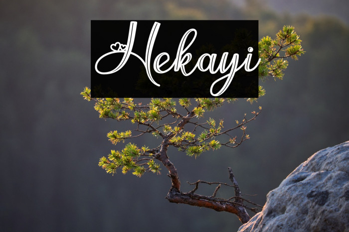 Hekayi Example 2