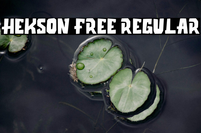 Hekson Free Regular Example 1