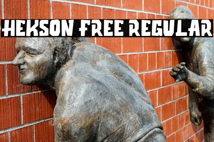 Hekson Free Regular Example 3