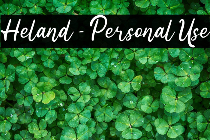 Heland - Personal Use Example 3