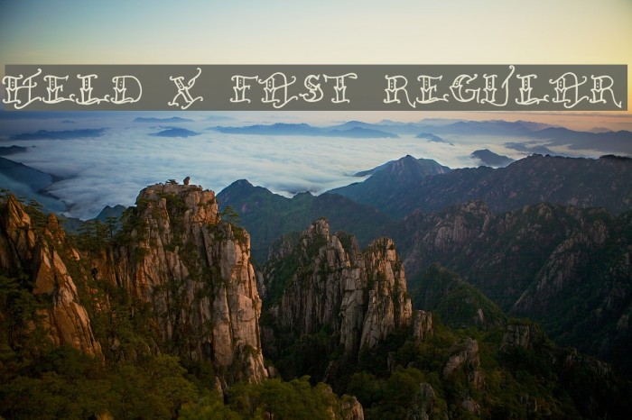 Held x Fast Regular Example 1