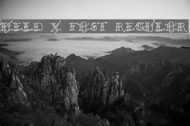 Held x Fast Regular Font examples