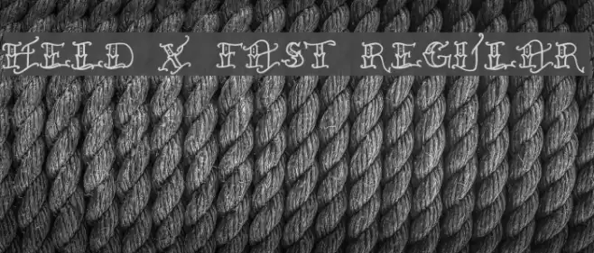 Held x Fast Regular Font examples