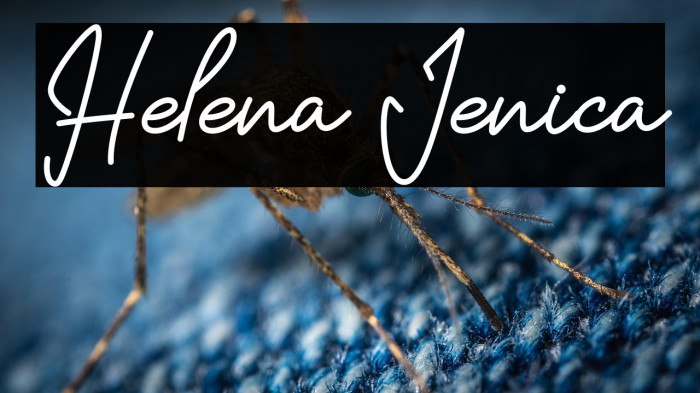 Helena Jenica Example 2