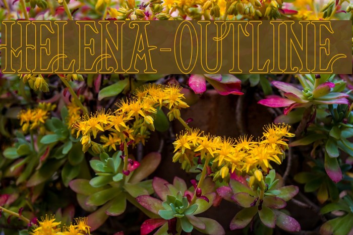 Helena-Outline Font examples