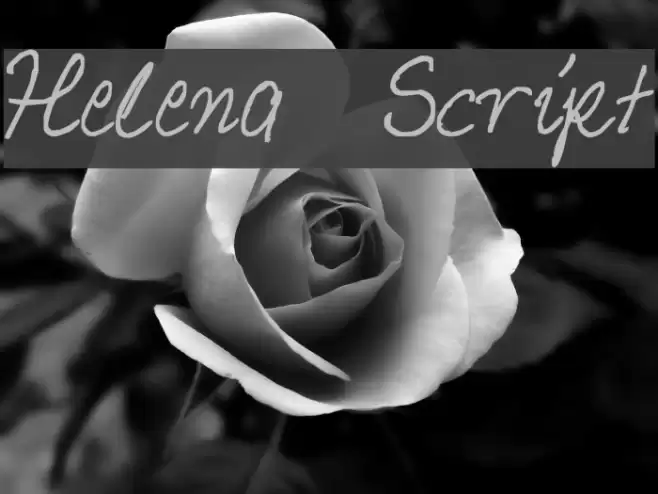 Helena Script Font examples