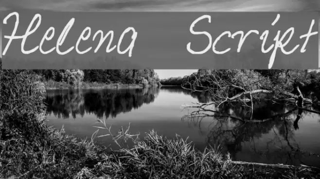 Helena Script Font examples