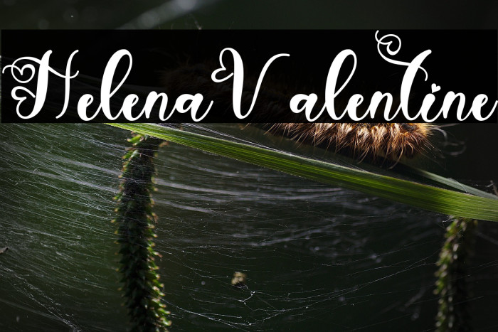 Helena Valentine Example 2