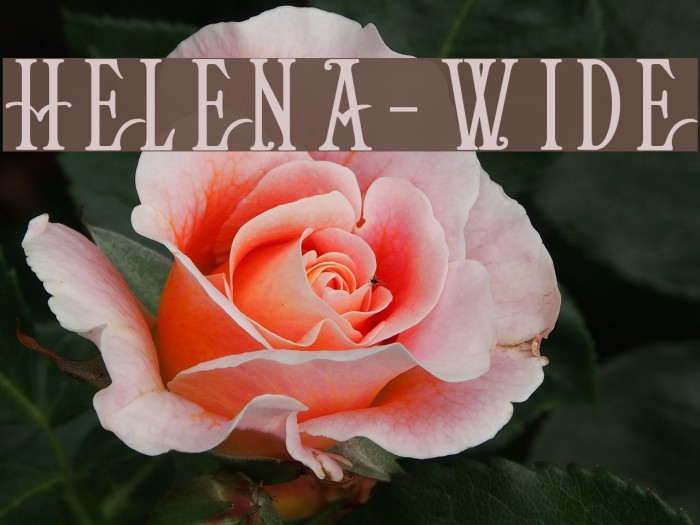 Helena-Wide Font examples