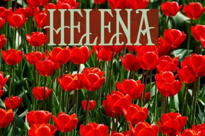 Helena Example 1