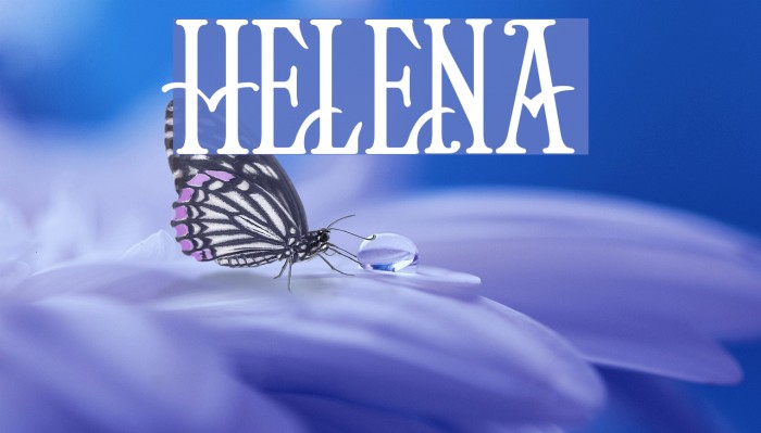 Helena Fonte examples