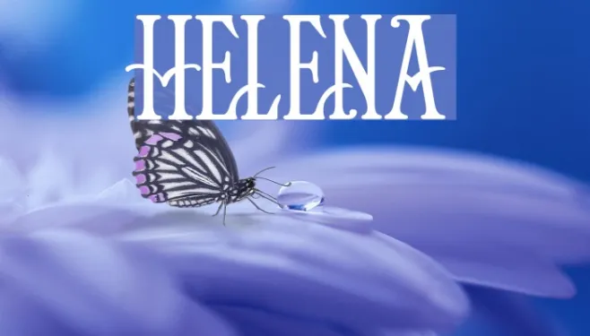 Helena Example 2