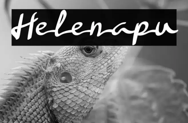 Helenapu Font examples