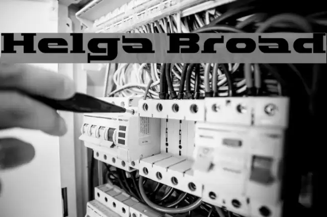 Helga Broad Polices examples