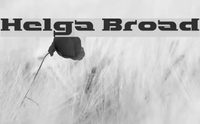 Helga Broad Polices examples