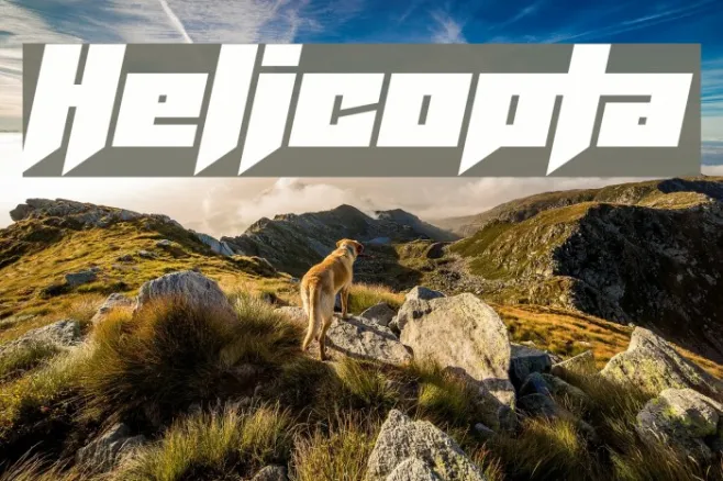 Helicopta Example 2