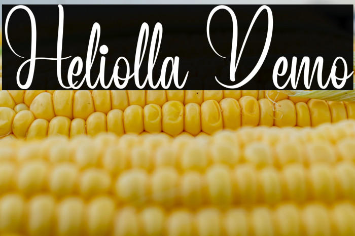 Heliolla Demo Example 1