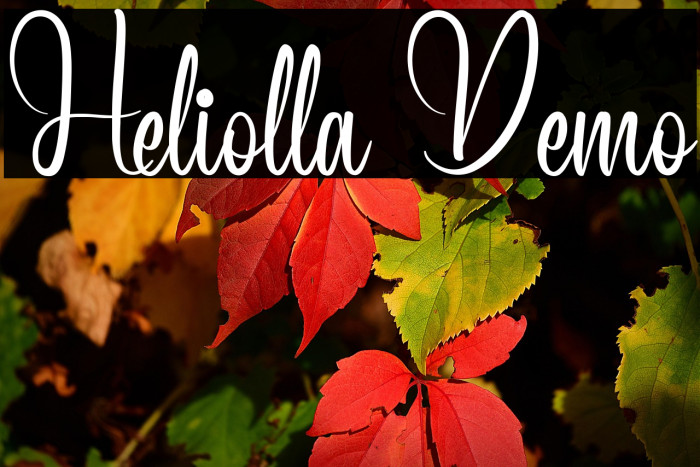 Heliolla Demo Example 2