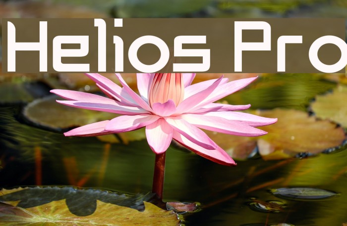 Helios pro