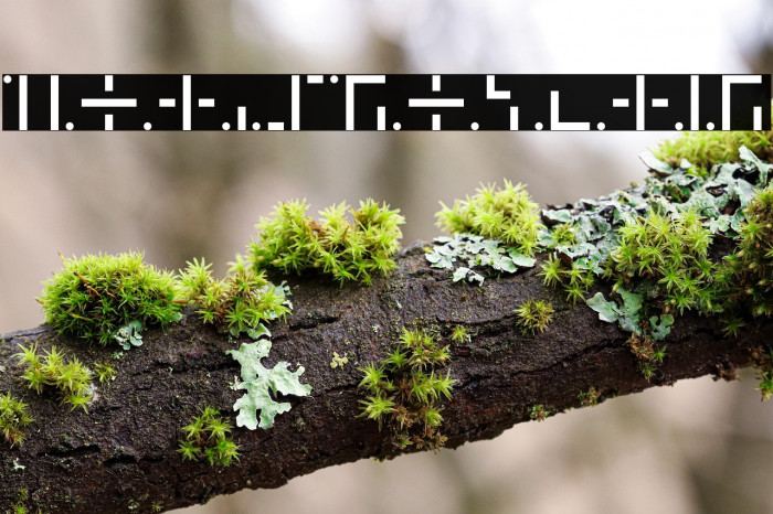 Helios Regular Example 2