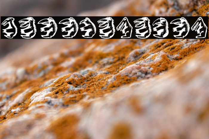 Hell Beasts Regular Example 2