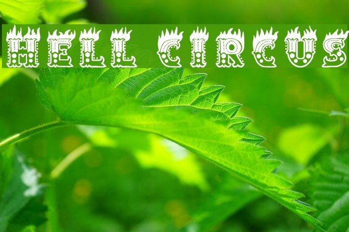 Hell Circus Font examples
