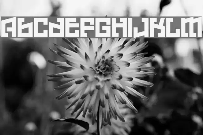 Hell Underwater Font examples