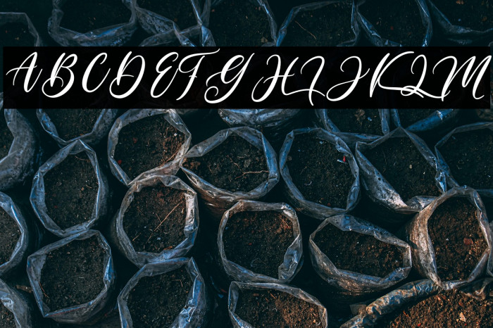 Hella Mella Example 2