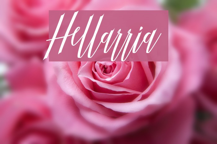 Hellarria Font examples
