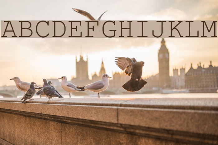 HellasCour Regular Font examples