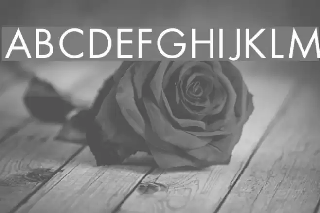 HellasFun Plain Шрифта examples
