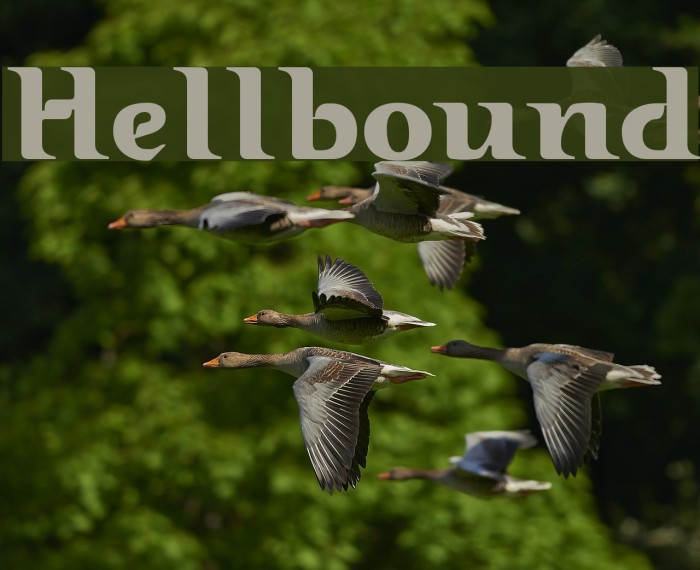 Hellbound Font examples