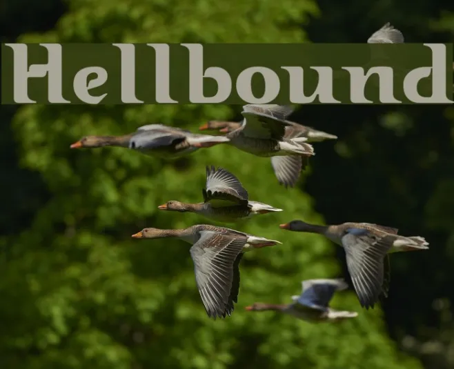Hellbound Example 1