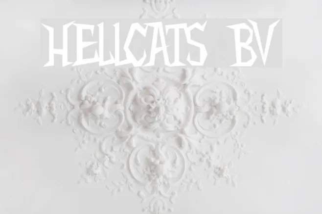 Hellcats BV Example 2