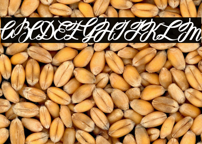 Hellena Italic Example 1