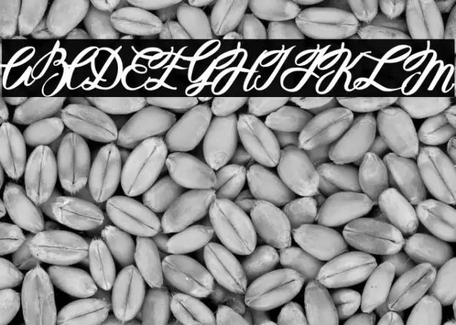 Hellena Italic Font examples