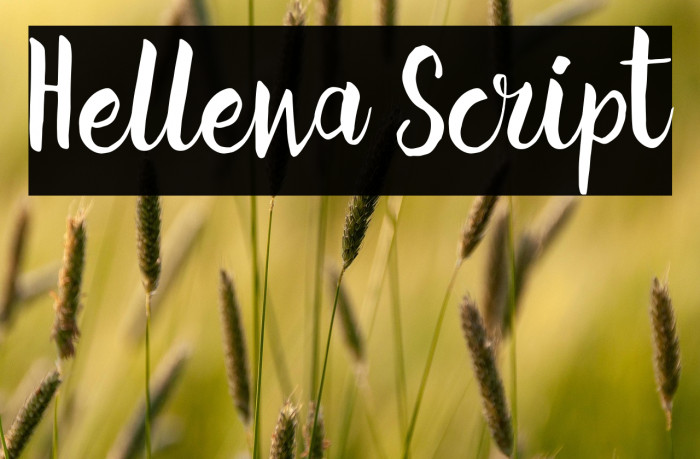 Hellena Script Example 3