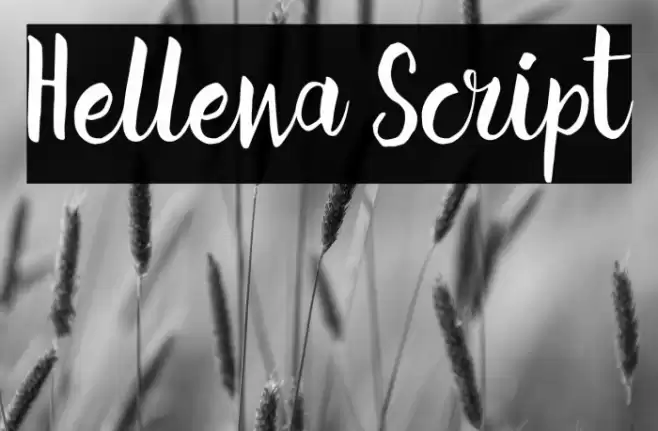 Hellena Script Schriftart examples