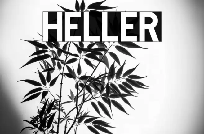 Heller Font examples