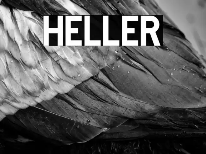 Heller Font examples