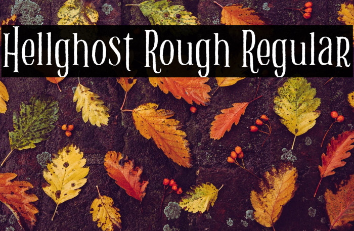 Hellghost Rough Regular Example 1
