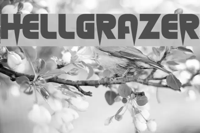 Hellgrazer Font examples