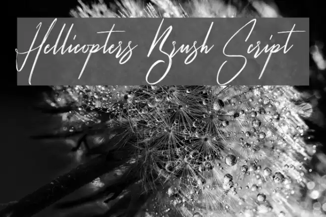 Hellicopters Brush Script Font examples