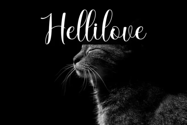 Hellilove Example 3